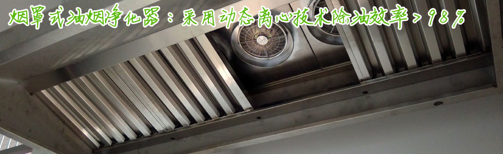煙罩式油煙凈化器，除油效率>98%，川菜湘菜凈化首選！